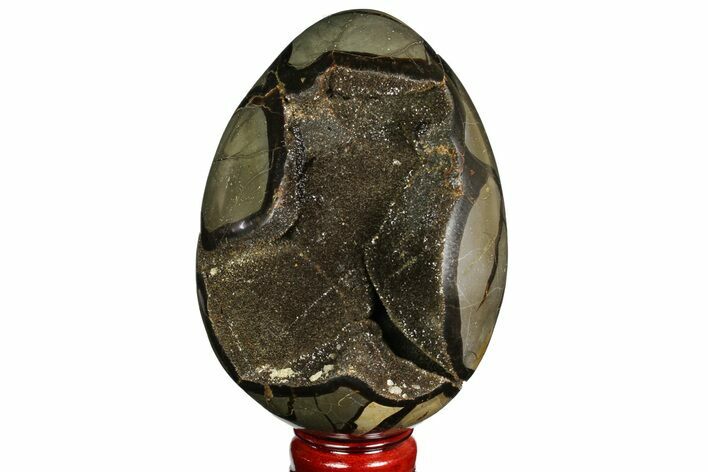 Septarian Dragon Egg Geode - Black Crystals #157894